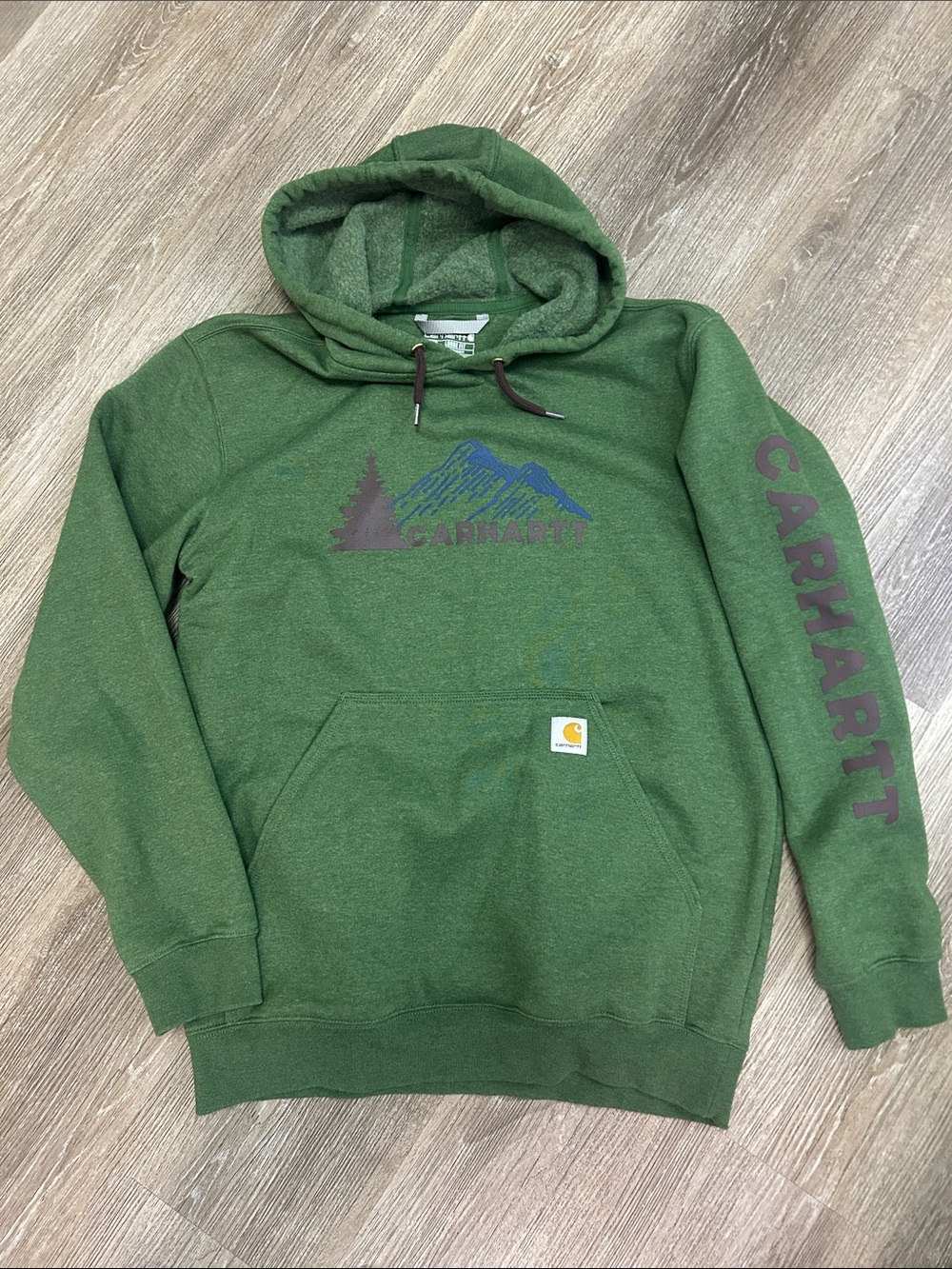 Carhartt Hooded Mountain Logo Sweatshirt